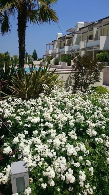 Apartment Lido Centro Con Piscina Lido di Jesolo